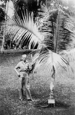 tonk louis indie 1948 1950 coll. l.tonk (Custom)